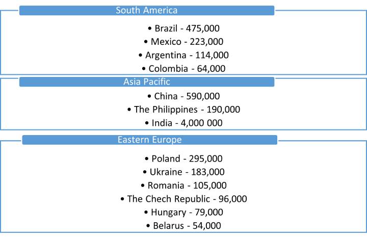 The number of professional developers in Ukraine