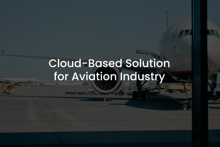 Aviation Industry