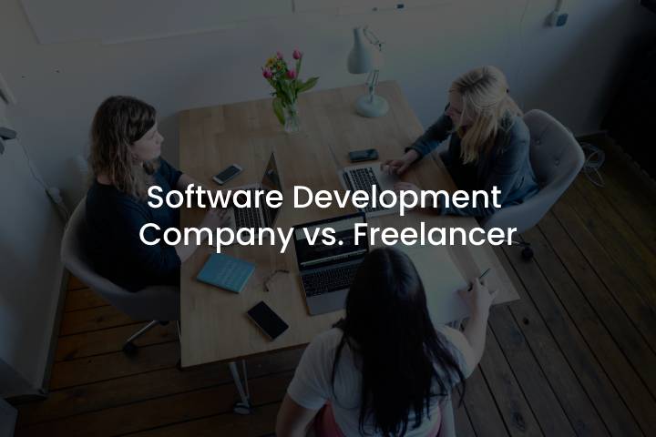Software Development Company vs. Freelancer (2)