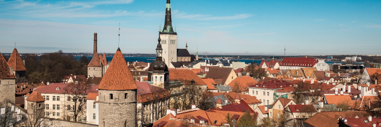 Estonia IT Outsourcing