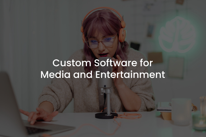 Custom Software for Media and Entertainment