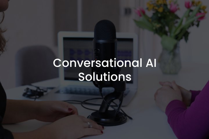 Conversational AI cases