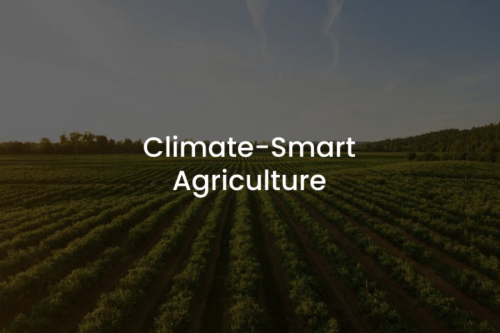 Climate Smart Agriculture