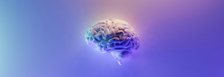 Brain Implant