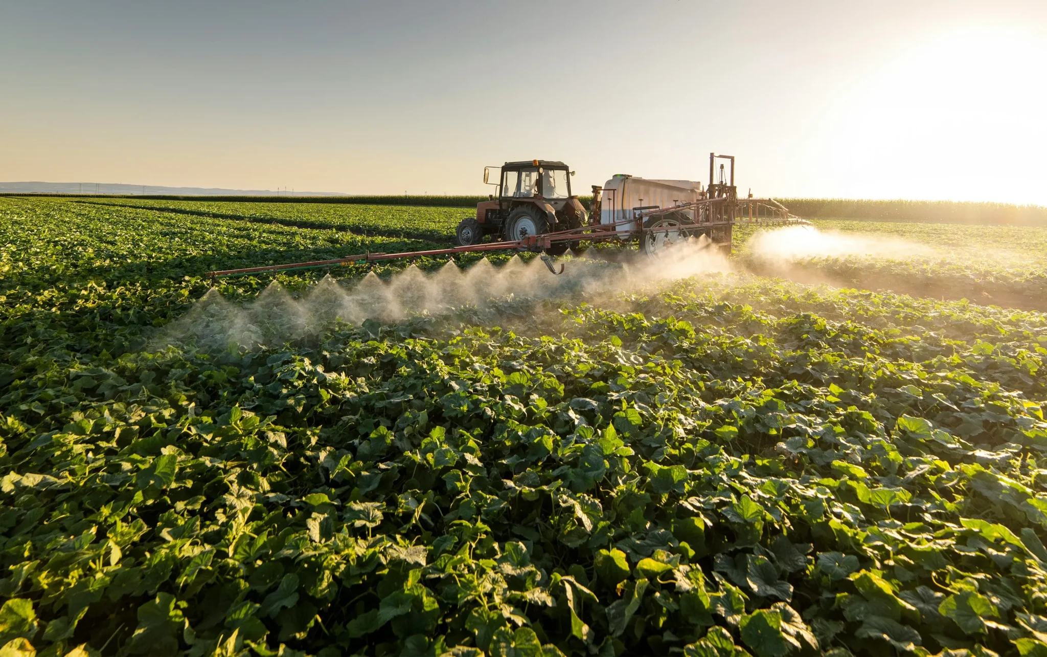 Families of pesticide victims challenge EU deregulation push