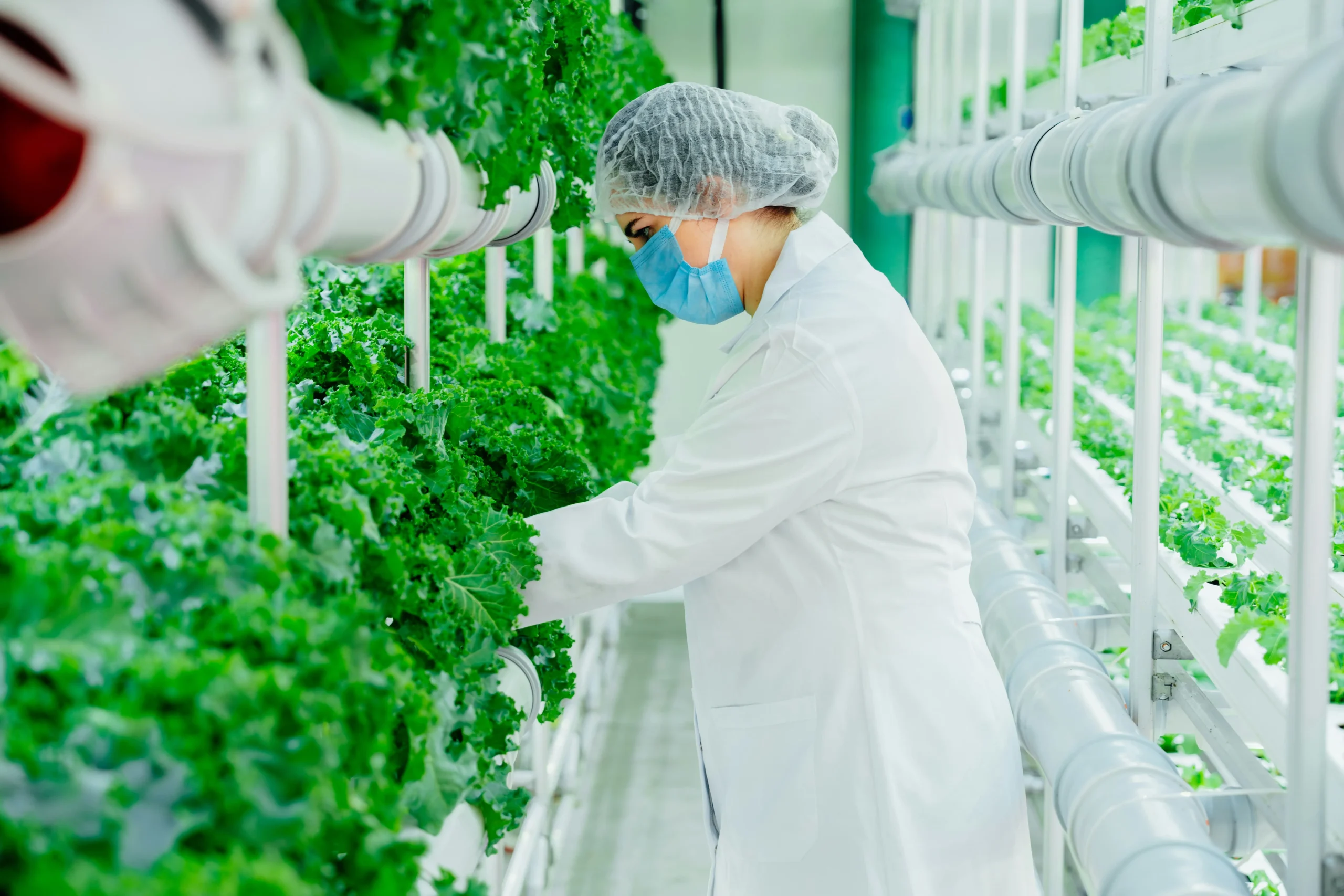 agritech agiliway