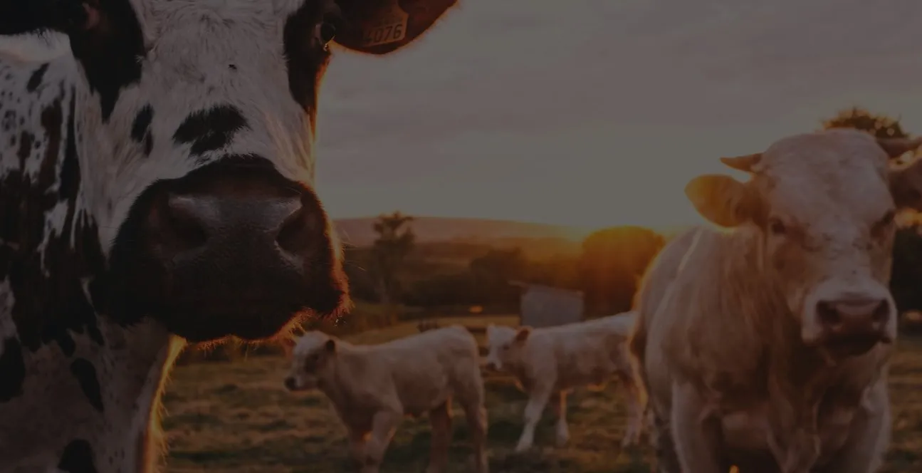 smart farming smart farming