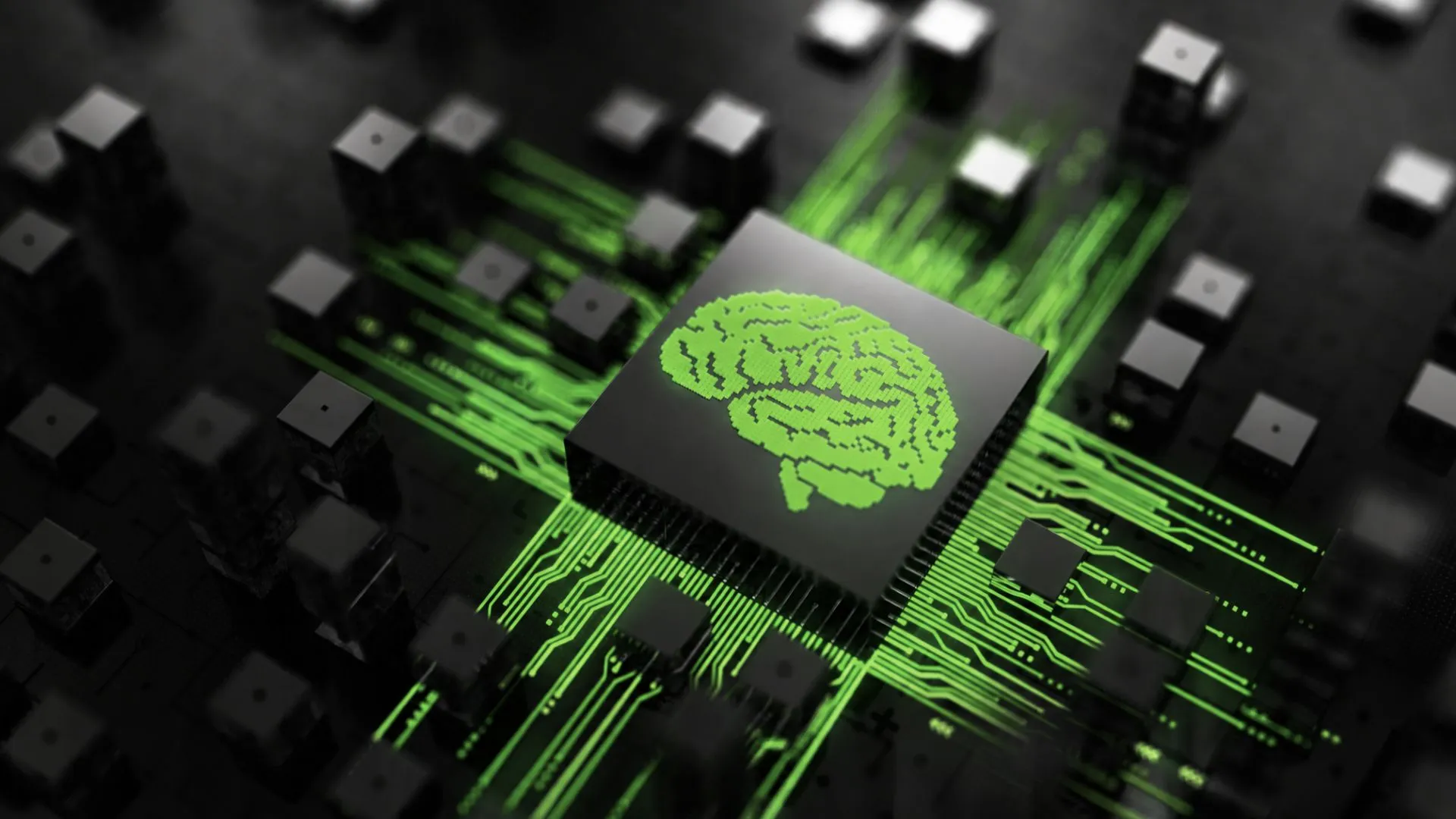 Digital Green Brains