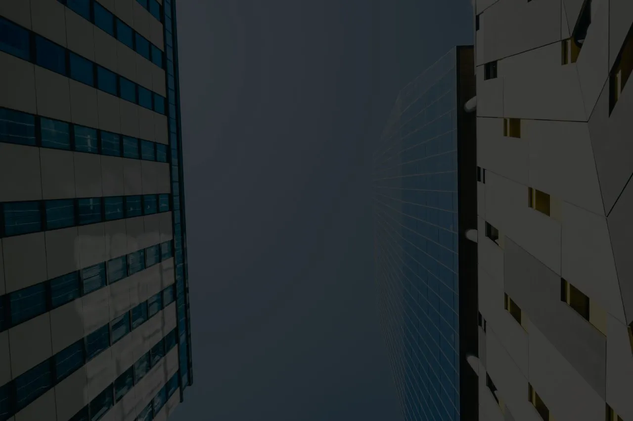 Outsourcing or in-house ai